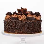 Chocolate Gateaux