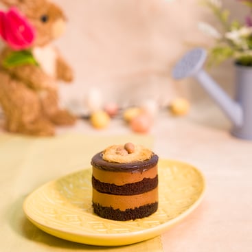 Chocolate Mousse Slice