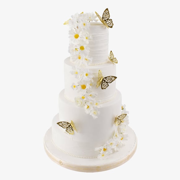 Serene Butterfly