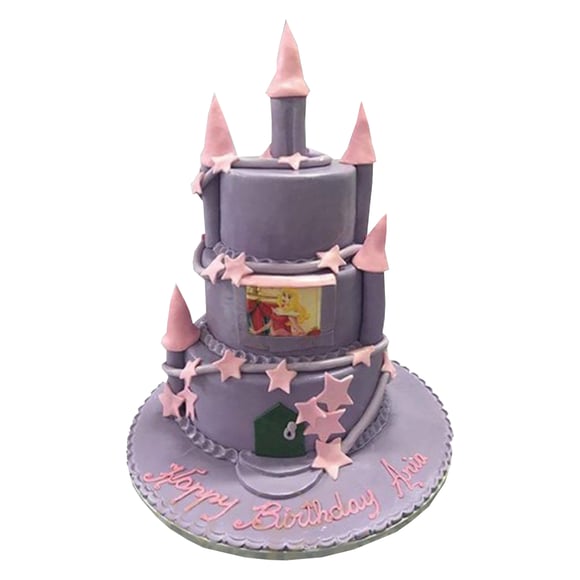 Disney Castle