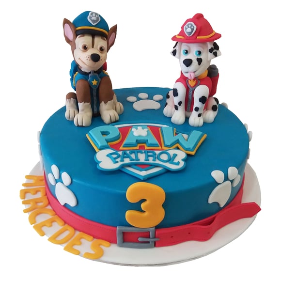  Paw Patrol